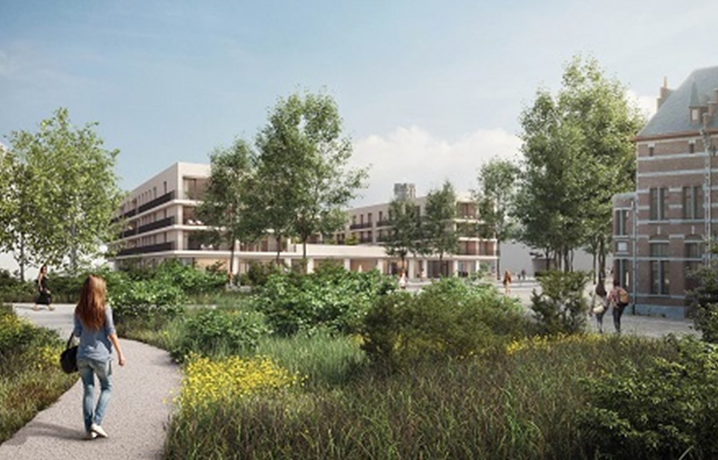 Groen in woningbouwprojecten