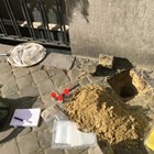 Nesten van wilde zandbijen